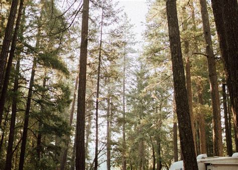 Lake Selmac Resort Camping | The Dyrt