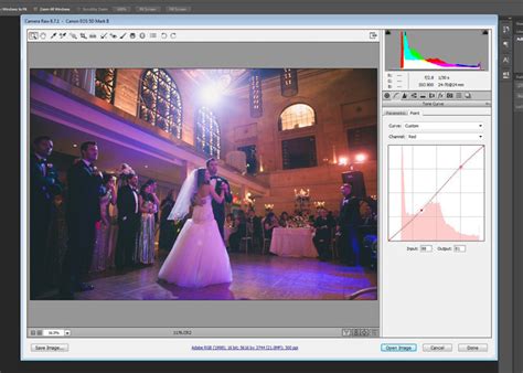 Best Photoshop Tutorial for Wedding Color 的图像结果