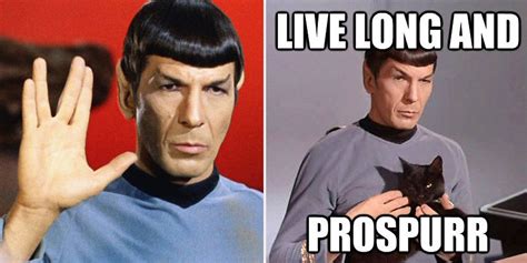 Star Trek Spock Meme