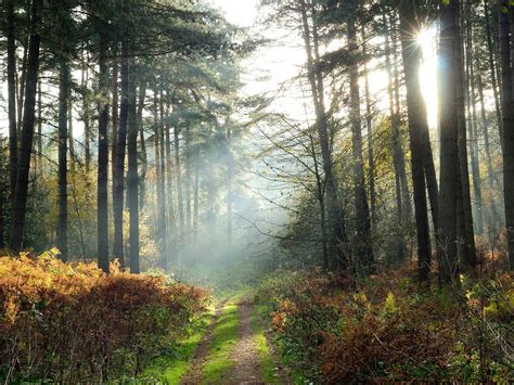 Philip Jeremiah Schuyler on Tumblr