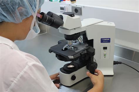 Person Using Microscope 的图像结果