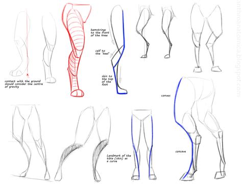 Image result for Using Legs Like Python's