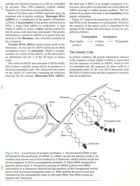 Image result for DNA Tutorial