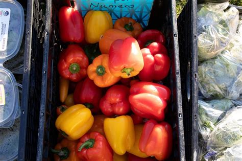 What we do | Join Our Mission — Ferndale Food Bank