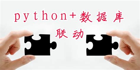 MySQL-python Tech with Tim 的图像结果