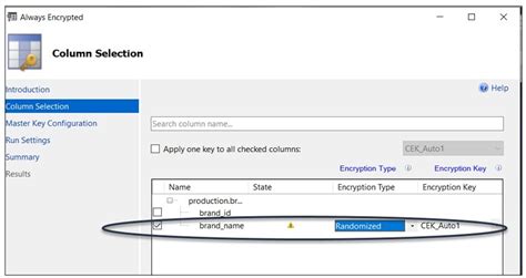 SQL Encrypt Strict 的图像结果