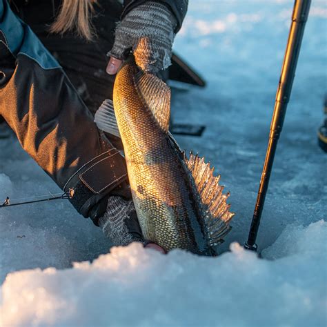 Ice fishing the red door resort on mille lacs lake mn – Artofit
