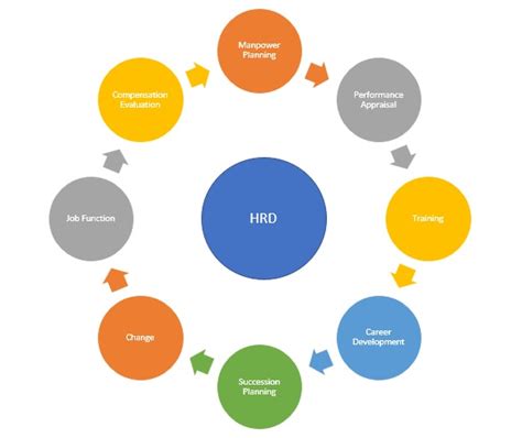 ﻿How HRM And HRD Are Related To Each Other Explains