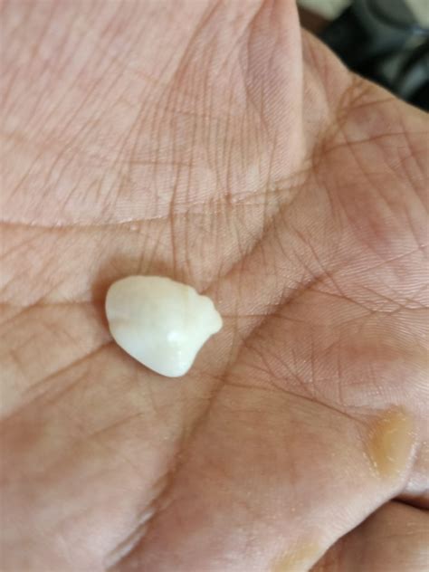 Machmani Stone | Machh Mani | Fish Pearl | 6.6 Carat | With Certificat ...