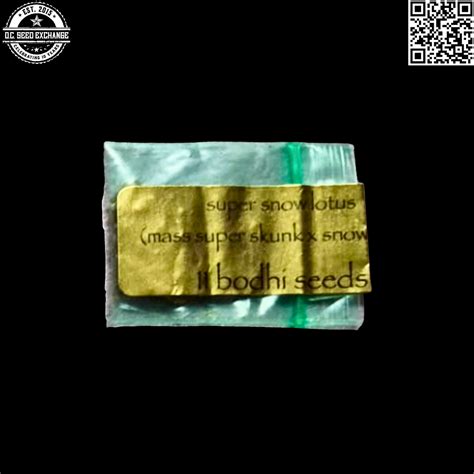 Bodhi Seeds Super Snow Lotus (Massachusetts Super Skunk x Snow Lotus ...