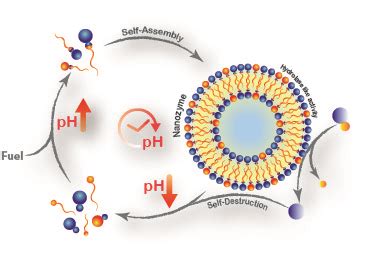 Supramolecular Chemistry Lab