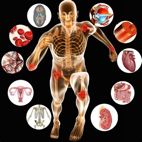 Biology Human Anatomy and Physiology 的图像结果