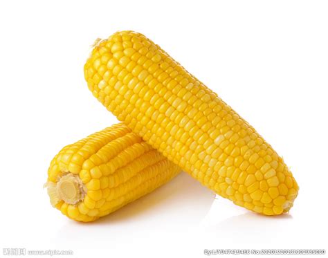 吃玉米能减肥吗？ - 粮油百科