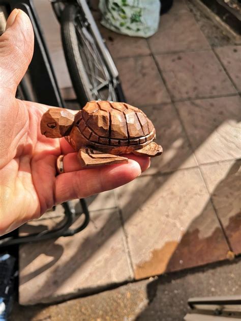 Image result for Turtle Carving Pattern