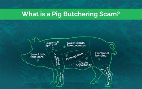 https://financialrecoveryexperts.com/assets/images/blog/What-is-a-Pig-Butchering-Scam.webp
