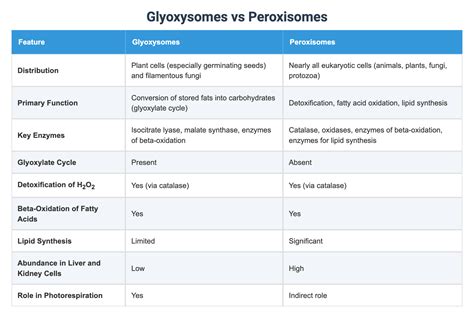 Glyoxysomes vs Peroxisomes