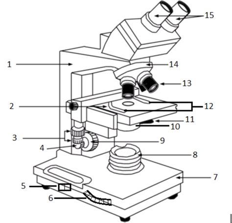 Image result for Microscope Labeled