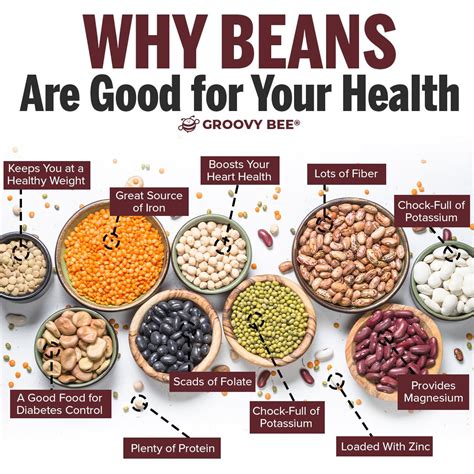 Why Beans Are Good for Your Health in 2025 | Healthy lifestyle food, Healing food, Health food