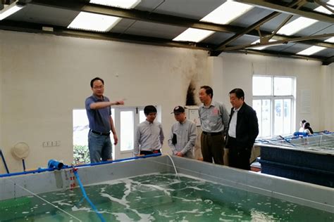 东海所海马研究中心挂牌成立-中国水产科学研究院