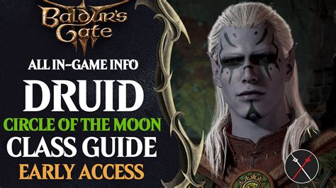Baldur's Gate 3 Circle of the Moon Druid Build Guide - Fextralife