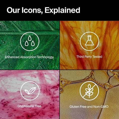 The Absorption Company | Your year, your rules. No matter what goals ...