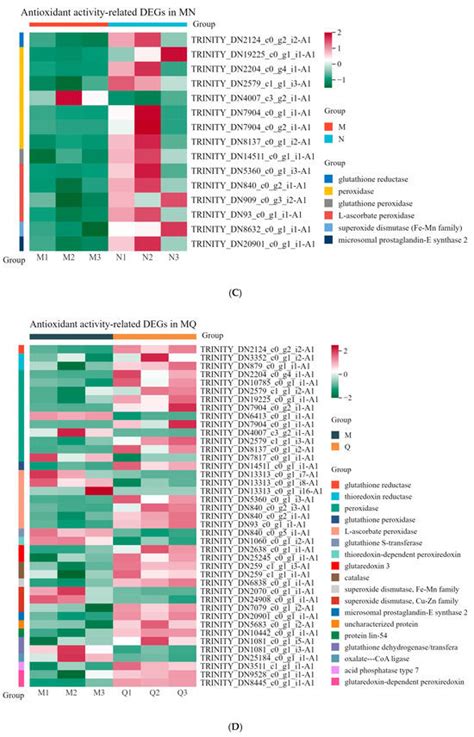 IJMS | Special Issue : Transcriptional Regulation in Plant Development ...