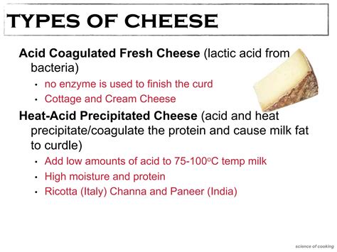 Traditional Biotechnology 的图像结果