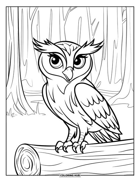 110+ Owl Coloring Pages for Kids & Adults (Free Printable PDFs)