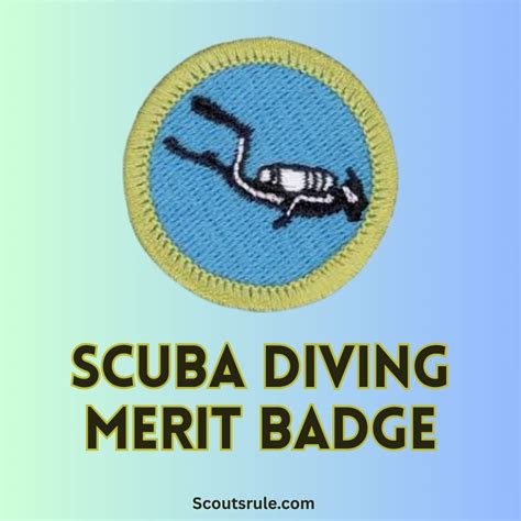 Search and Rescue Merit Badge Guide - Scouts Rule