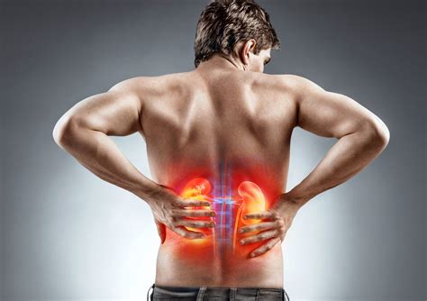Kidney Pain - Everything you Need to Know - Apollo Hospital Blog