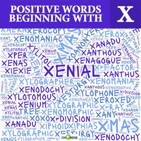 88 Positive Words That Start With X (to Describe Someone)