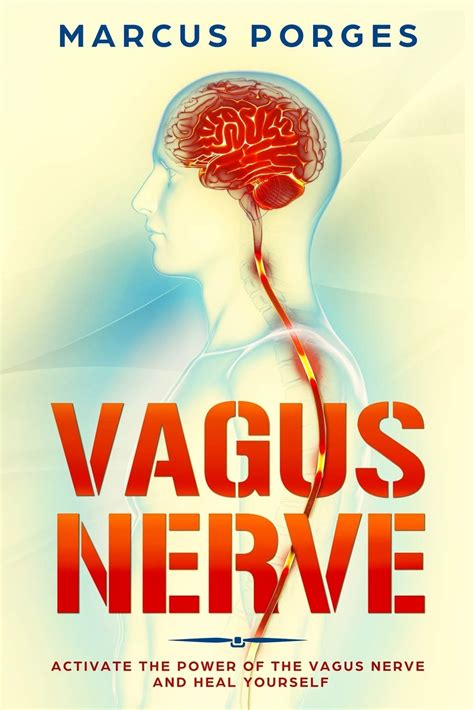 Vagus Nerve Activate The Power Of The Vagus Nerve Heal | Desertcart INDIA