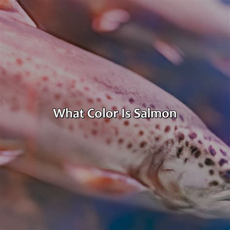 What Color Is Salmon - colorscombo.com