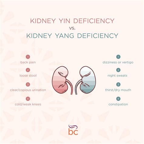 Traditional Chinese Medicine Kidney Yin Deficiency at Jerry Birch blog