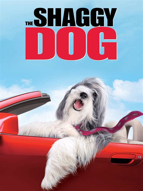 Disney The Shaggy Dog Movie