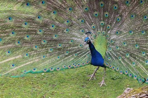 Zurich Tourism: All You Need to Know Before You Go (2024)