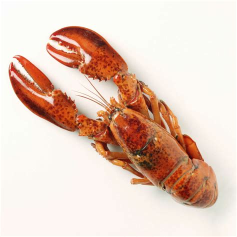 Fine Dining Canvas Photographs | Wall Prints