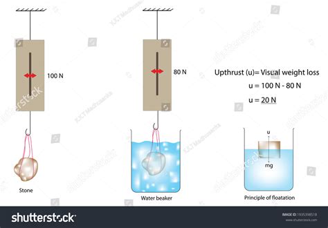 Image result for Spring Balance Experiment