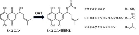 Image result for Key Events Example