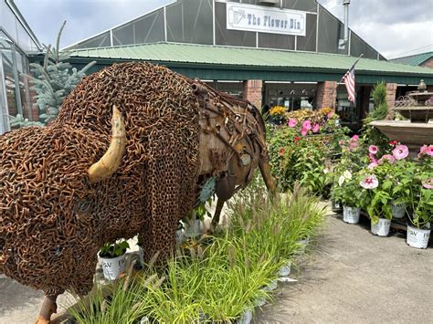 The Flower Bin - Longmont, CO - Nextdoor