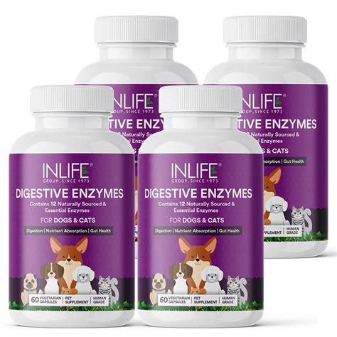 Digestive Enzymes for Dogs & Pets | Inlife Healthcare