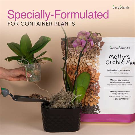 Molly's Orchid Mix - Premium Soilless Orchid Potting Mix - VeryPlants ...