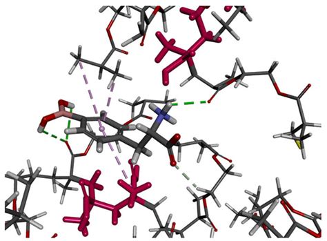 Molecularly Imprinted Polymers Specific towards 4-Borono-L ...