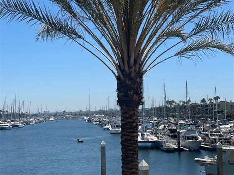BRIZO BAR & RESTAURANT, Marina del Rey - Restaurant Reviews, Phone ...