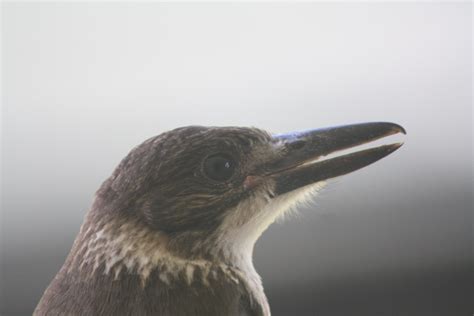 Discover more like AmateurPhotography: I started 2 weeks ago, here are ...