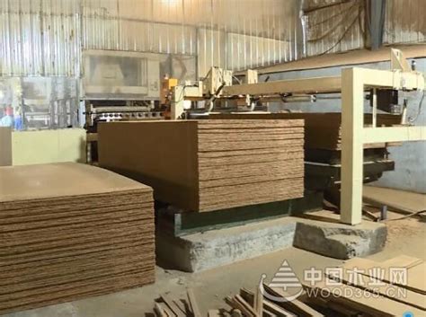 宿迁对泗洪木材加工和家具制造产业转型升级工作开展督导-中国木业网