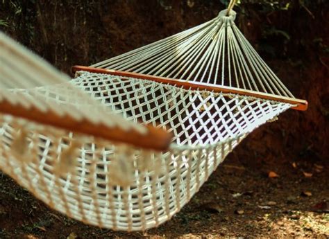 Sahyadri Nature Trails (Mananthavady) - Guesthouse Reviews, Photos ...