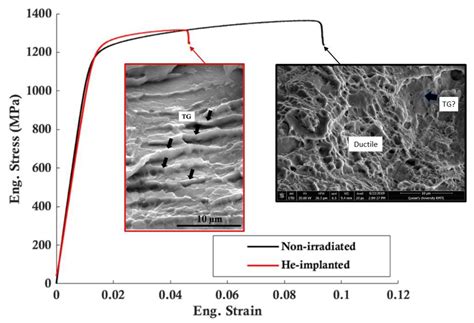 Strain Localisation and Fracture of Nuclear Reactor Core Materials
