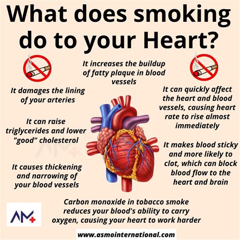 Tobacco Effects On The Heart
