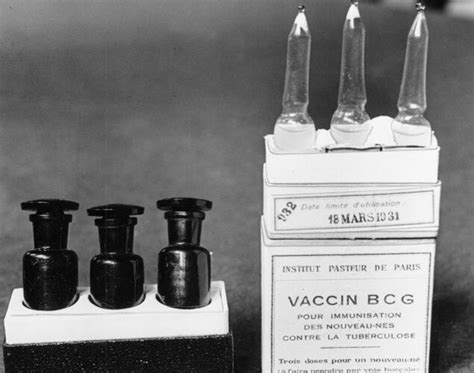 Is BCG vaccine an immunity booster? - Times of India